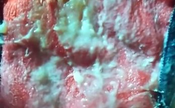 Stinky dirty panties full of vaginal discharge