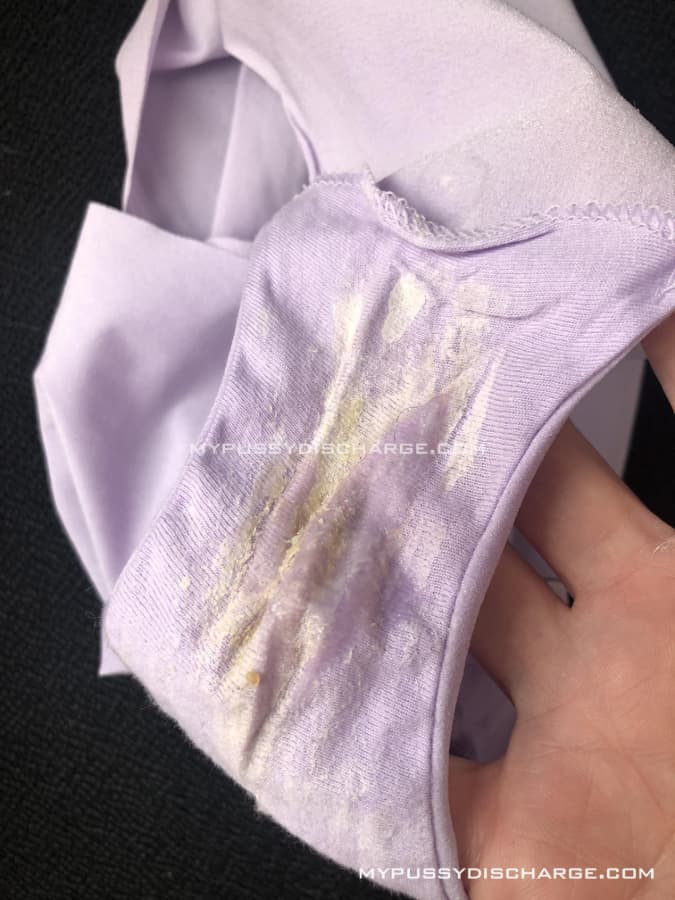 Dirty shit stained panties - Xwetpics.com