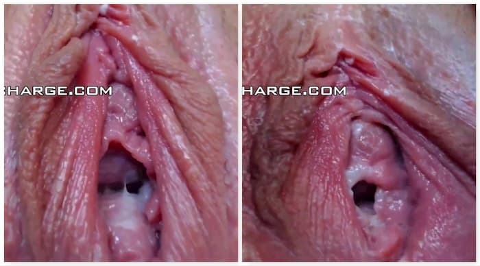 Wet Vagina Close Ups
